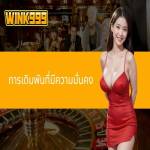 Wink999 support