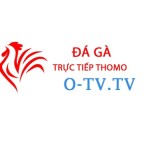 Đá Gà Trực Tiếp Thomo