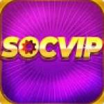 Socvip Design