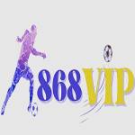 868VIP دربك