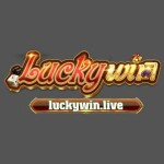 luckywin live
