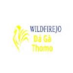 Đá gà trực tiếp Thomo