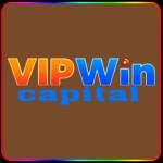 vipwin capital