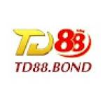 TD88 build