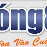 Bong88 Link Vào Bong88