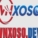 Nha chi Vnsoxo