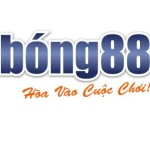 Nhà cái bong88