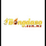 Bóng đá số