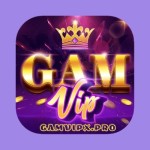 Nhà cái GamVip