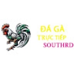 Đá Gà Cựa Dao Philippin