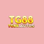 tg88 autos
