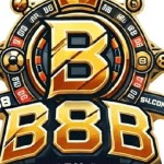 B8b com