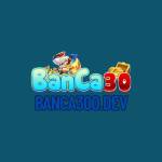 Banca300 Dev