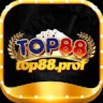 top88 prof