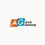 AG 百家乐