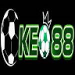 tylekeo mx