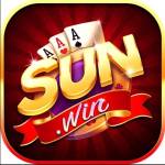 sunwinwin co