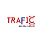 Traffic seotop