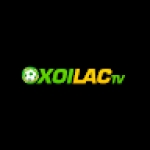 mollysmovement dieweb
