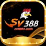 SV388 Com
