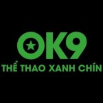 ok9link online