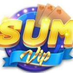 Sumvip Store
