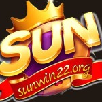 Sunwin 22 org