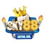 Sky88 Srl