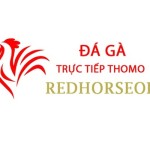 Đá Gà Trực Tiếp Thomo