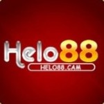 Helo88