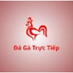Đá gà trực tiếp