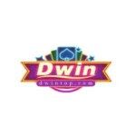 Dwintop com