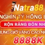 Natra 88