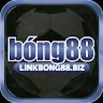 bong88