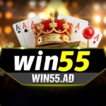 Win55 Trải Nghiệm Cá Cược Trực Tuyến Hàng Đầu