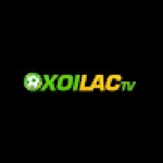mollysmovementcom die web