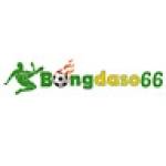 bongdaso661 site