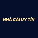 Top Nhà Cái Uy Tín