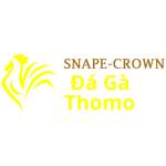 Đá Gà Trực Tiếp Thomo