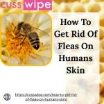 how to remove fleas from humans