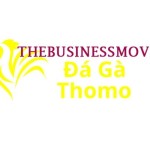 Đá Gà Trực Tiếp Thomo