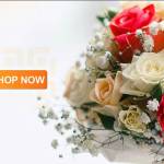 shop hoa tuoi Quảng Ninhv