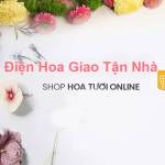shophoatuoihp