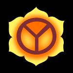 Yoga Teacher Training Course in India
