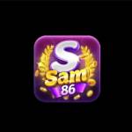 Sam86 report