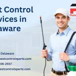 Pest Control Services