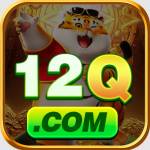 12Q