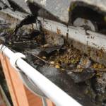 Downspout Cleaning Miami