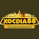 XocDia88 Cổng Game Xóc Đĩa Online Đổi Thưởng Uy Tín Nhất 20