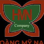Hoàng Mỹ Nam